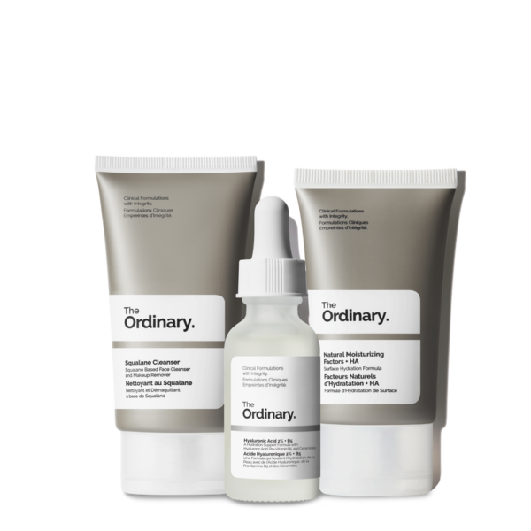 The Ordinary The Daily Set