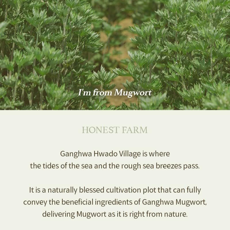 61cQYNAWuGL I'm from Mugwort Gel Cleanser 150ml - Image 9