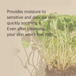 Mixsoon Centella Cleansing Foam - Image 3